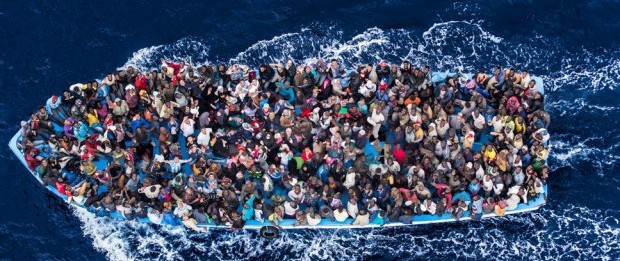 migration
